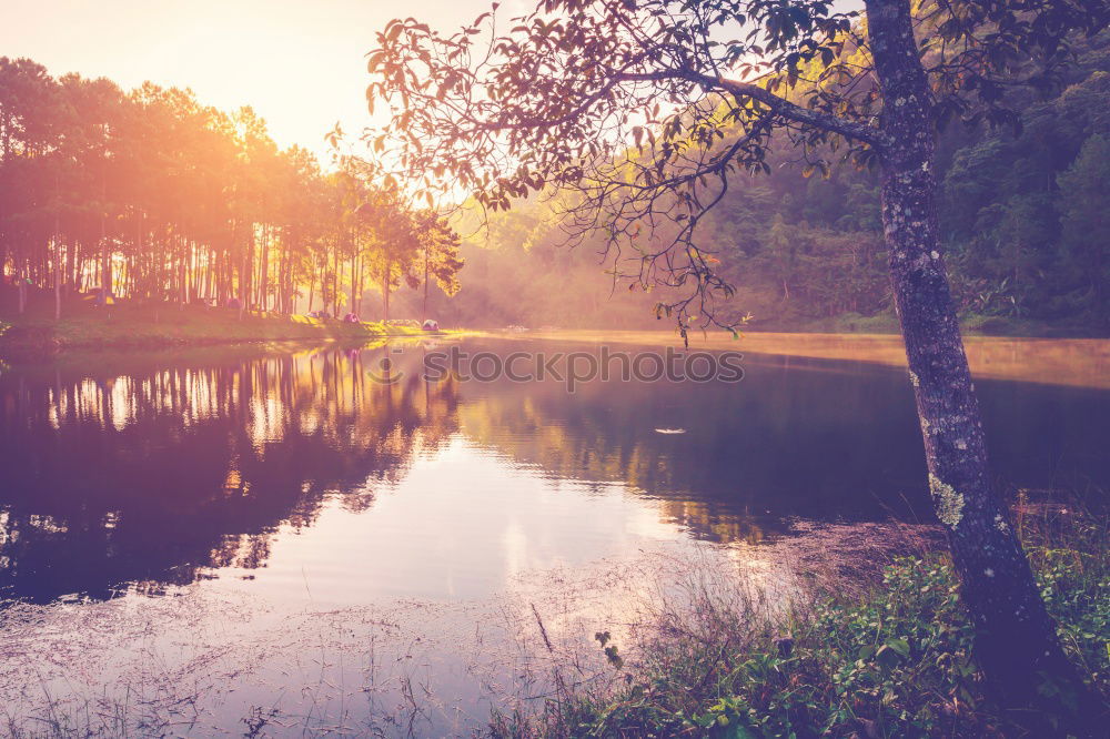 Similar – Image, Stock Photo paddling Human being