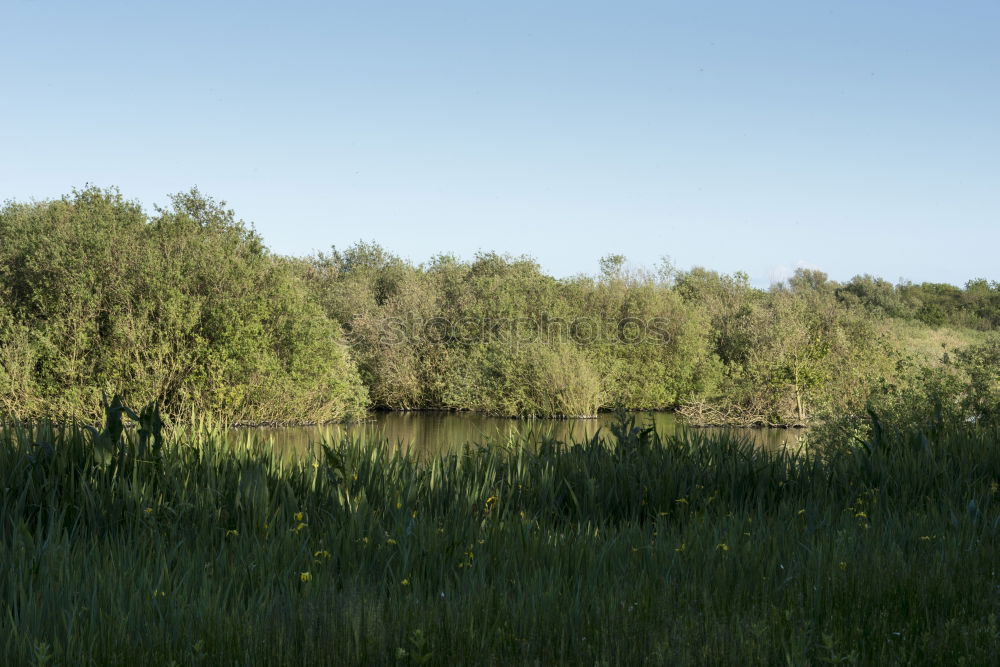 Similar – Newspaper on a meadow