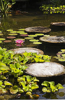 Similar – Image, Stock Photo well Nature Plant Summer