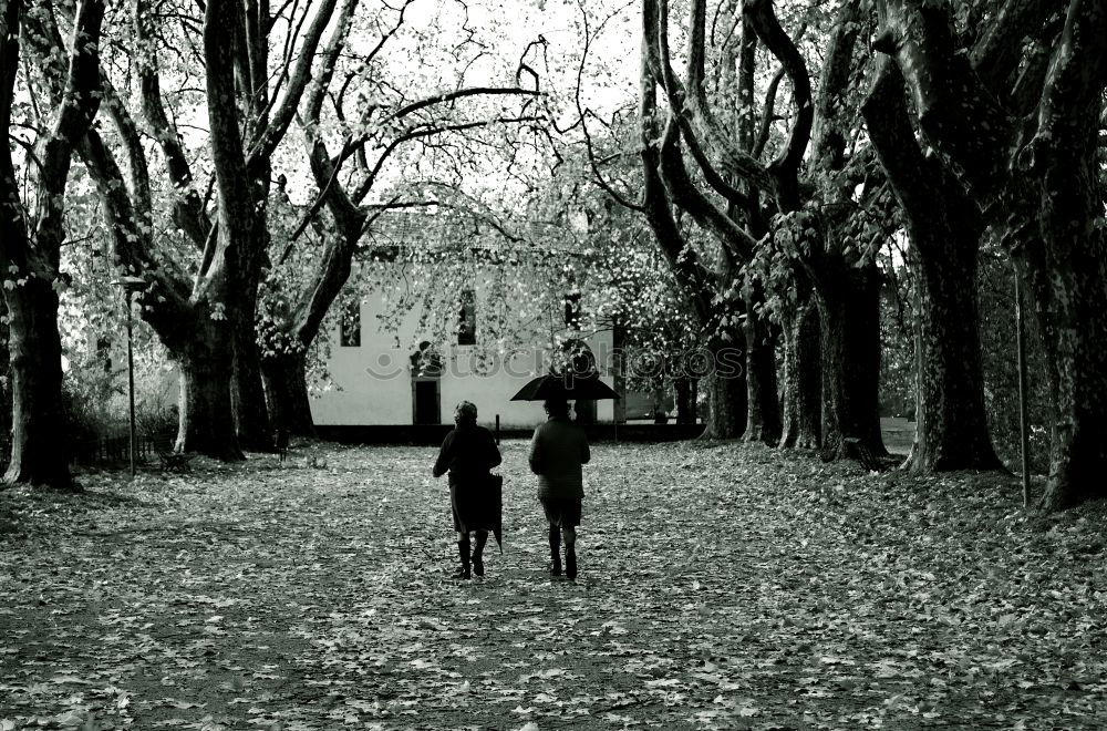 Similar – Foto Bild Einer muss es tun. Oktober