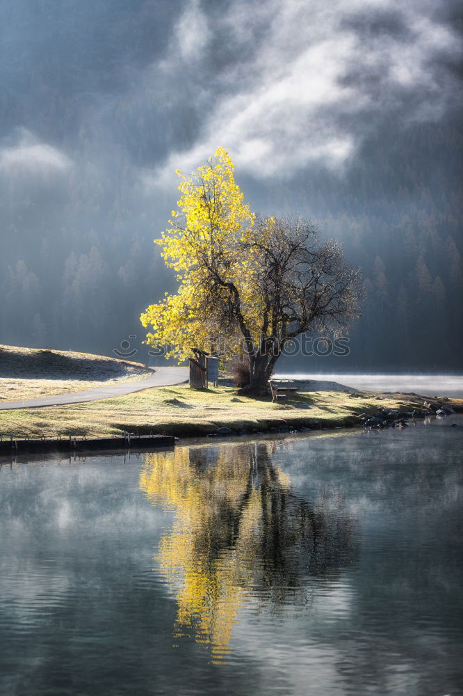 Image, Stock Photo Autumn and lake in the ball