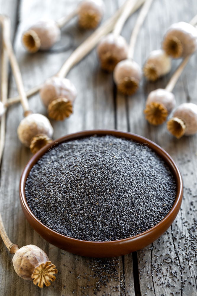 Similar – Image, Stock Photo Seeds of poppy in a wooden bowl