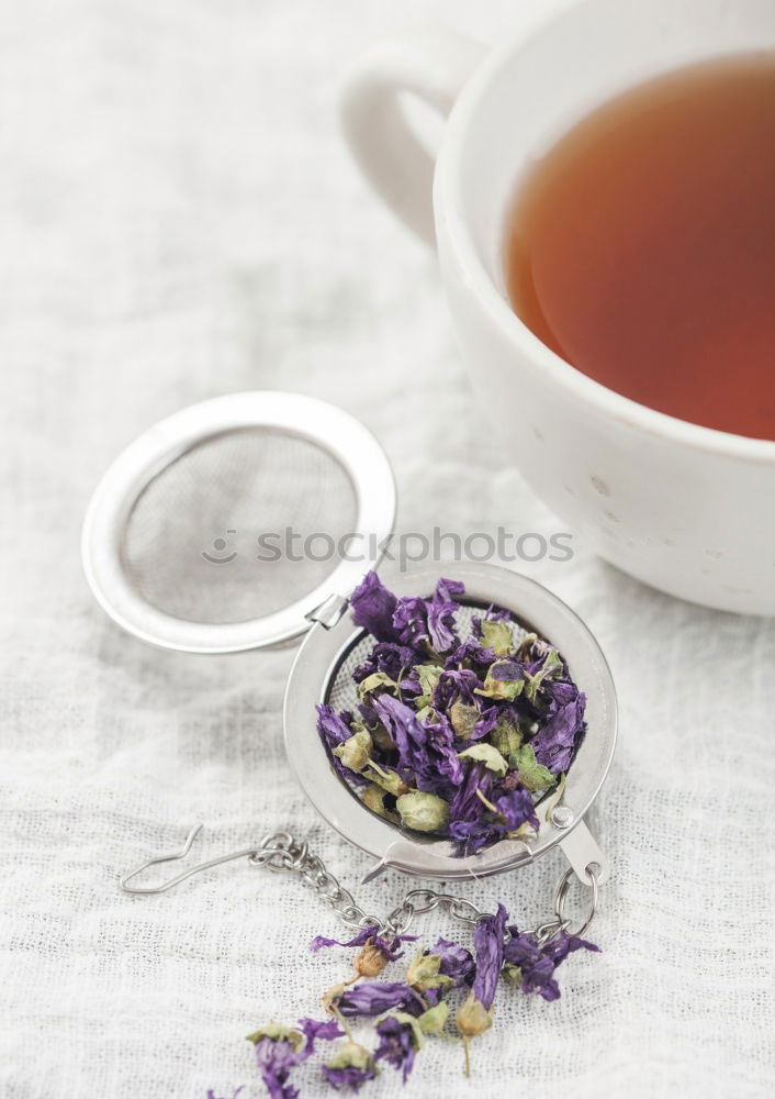 Similar – Dried blue butterfly pea flowers