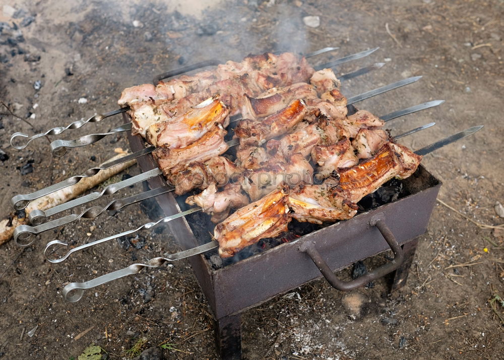 Similar – Image, Stock Photo outdoor Food Meat Sausage