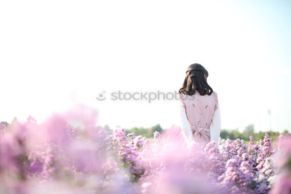 Similar – Image, Stock Photo rosé winter Feminine Woman