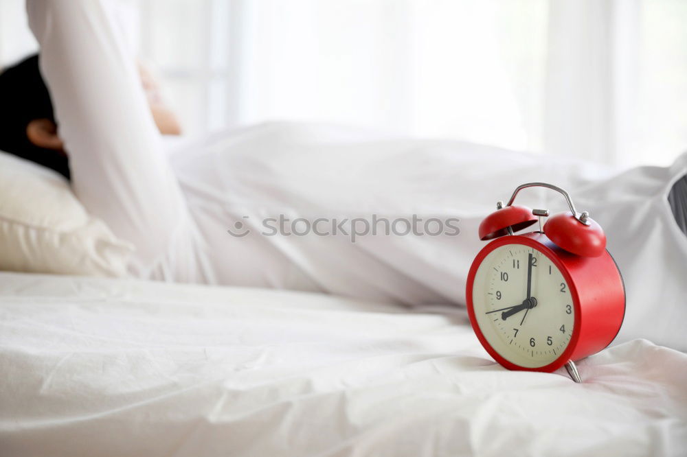 Similar – dog on bed with white sheets and alarm clock