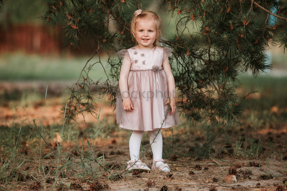 Similar – little cute girl have fun under tree with cones on a sunny spring day