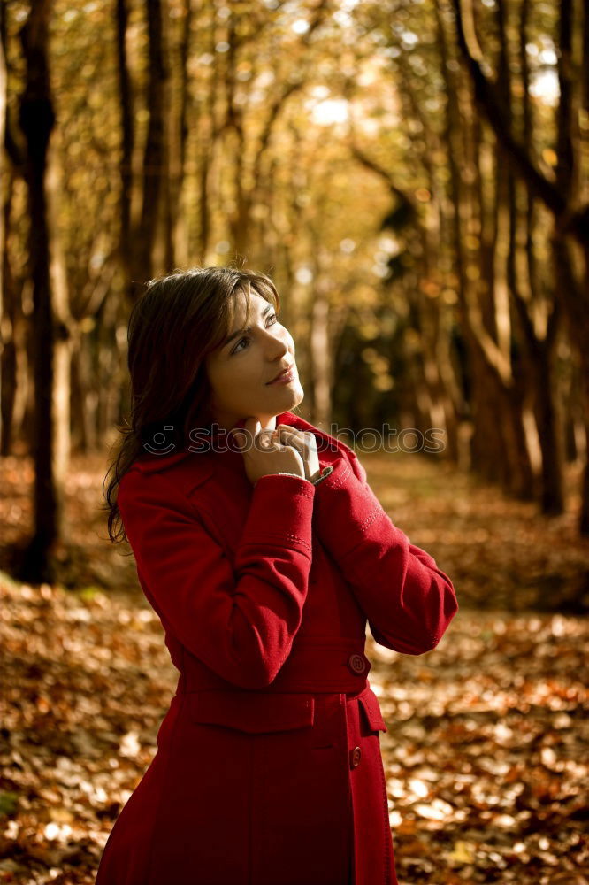 Lady in red II. feminin