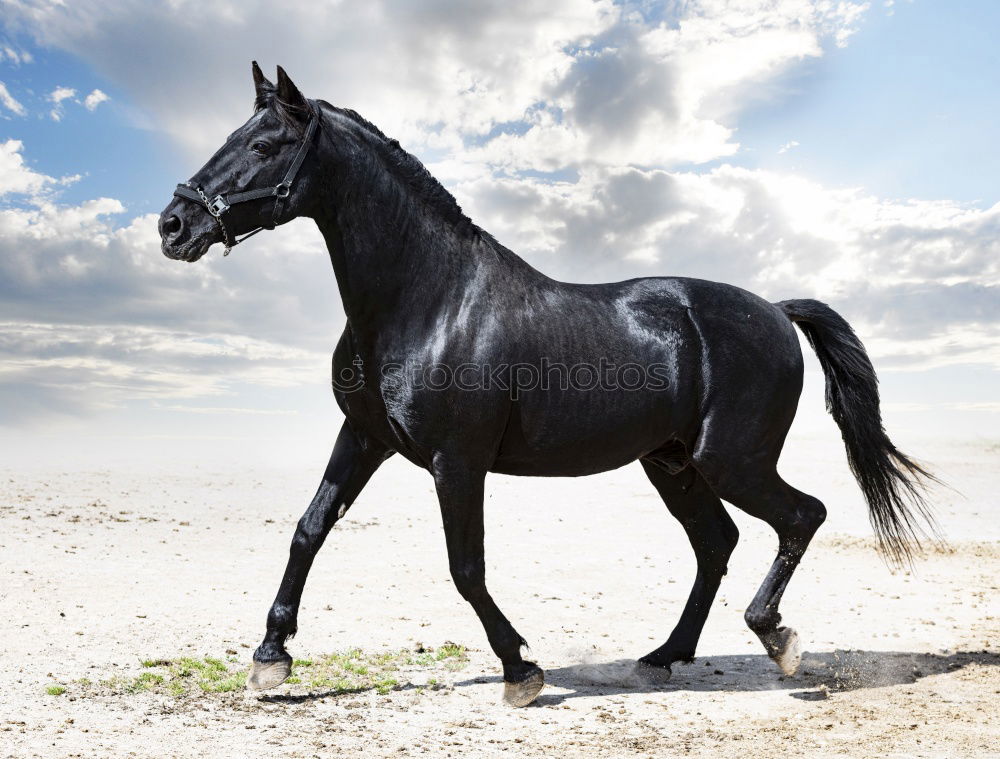 Similar – Image, Stock Photo “Sit down!”