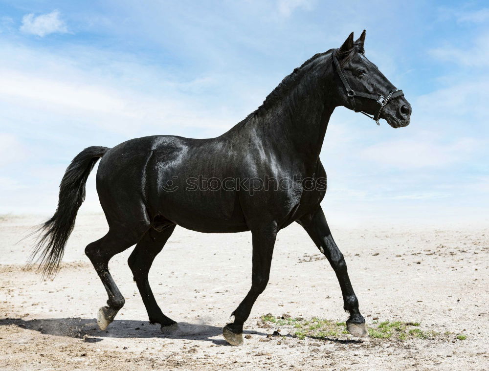 Image, Stock Photo “Sit down!”