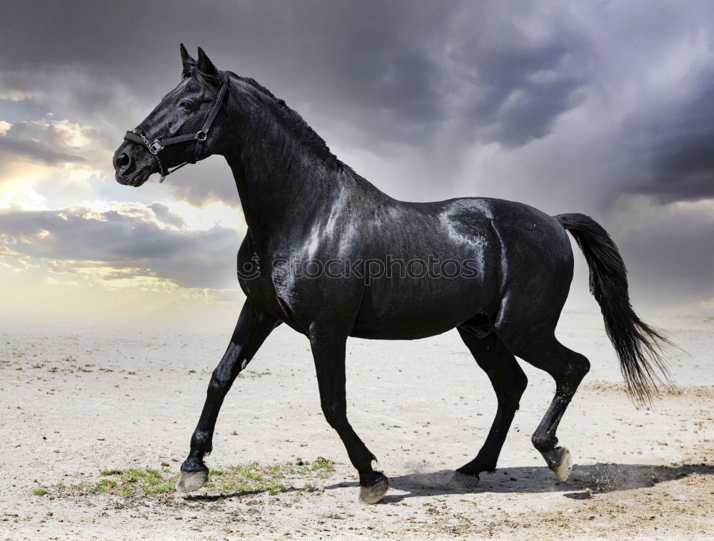 Similar – Image, Stock Photo “Sit down!”