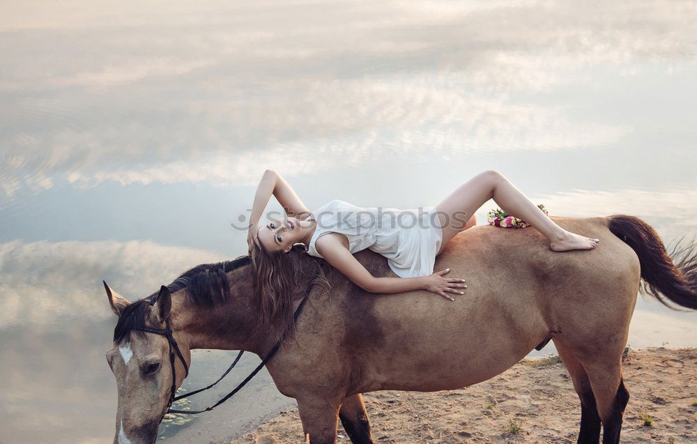 Similar – Beautiful little girl and her dog playing at sunset together