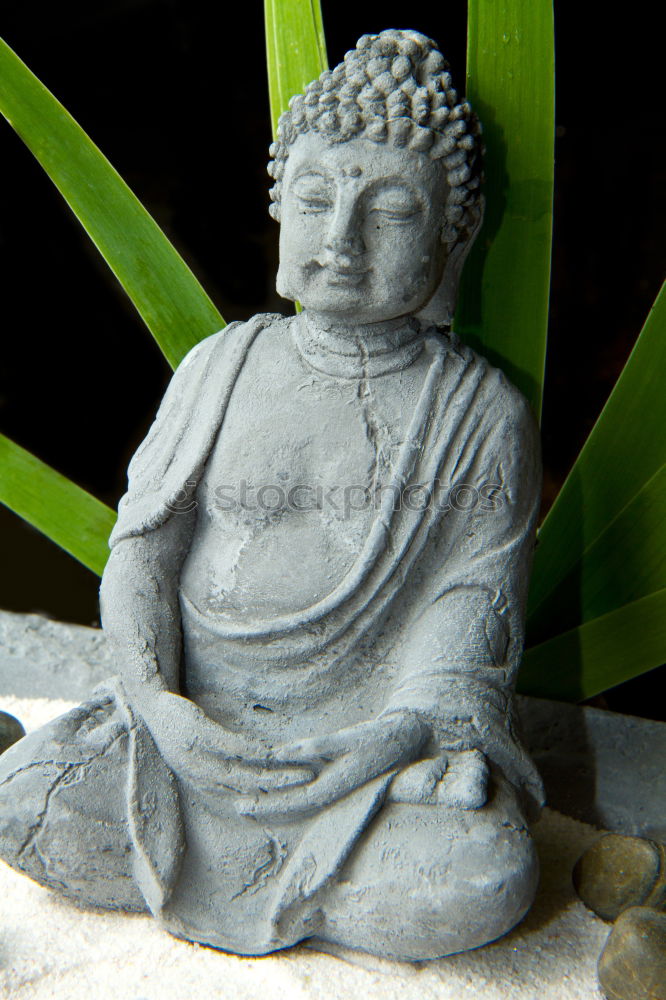 Similar – Image, Stock Photo Buddha Nature Plant Grass