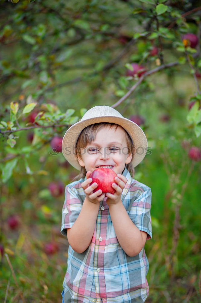 Similar – . Frucht Apfel Bioprodukte