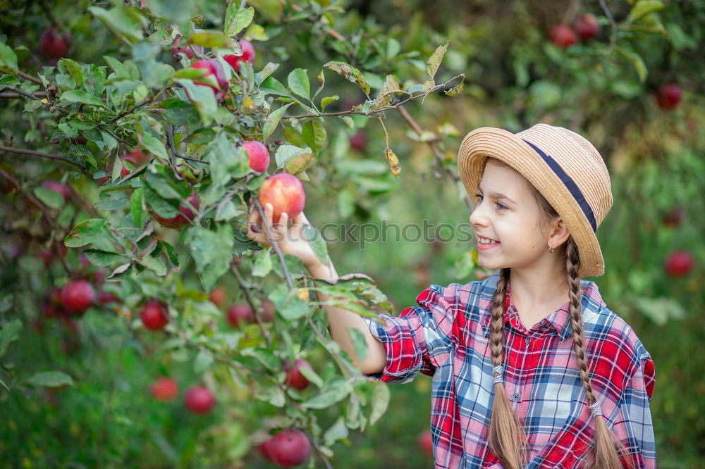 Similar – Image, Stock Photo winking and peonies