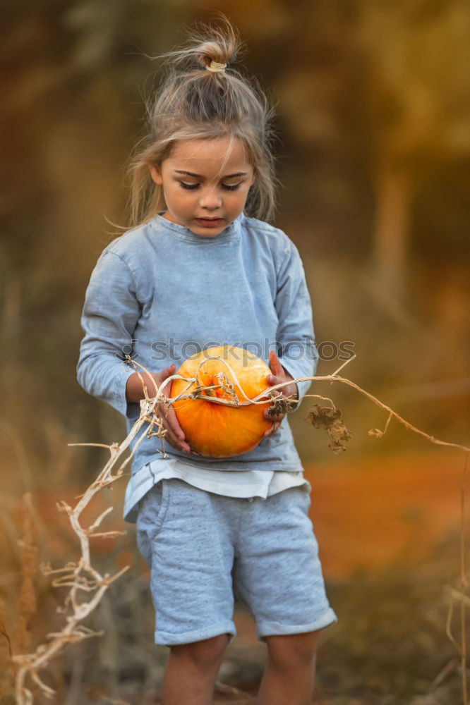 Similar – Image, Stock Photo Adorable girl todler embracing pumpkins on an autumn field