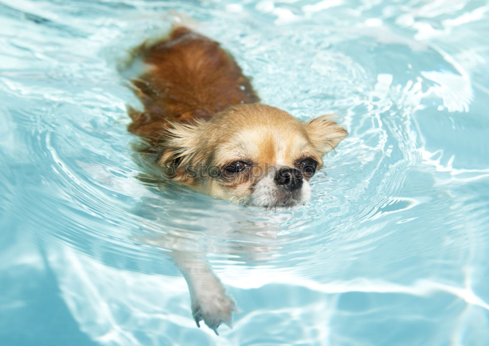 Similar – Life jacket testing.