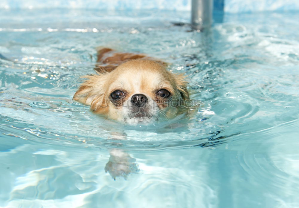 Similar – Life jacket testing.