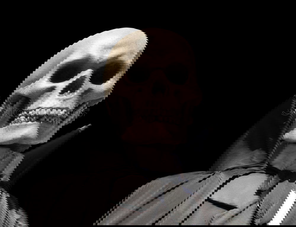 Similar – Image, Stock Photo boy in skeleton costume on halloween