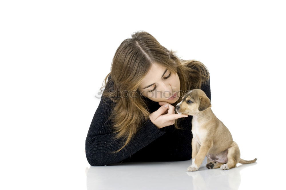 Similar – Image, Stock Photo Young woman feeding Beagle at a table in the kitchen in front of turquoise wall at the table