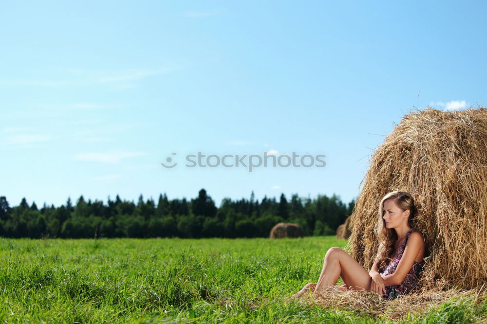 Similar – Image, Stock Photo Done Maize field Green