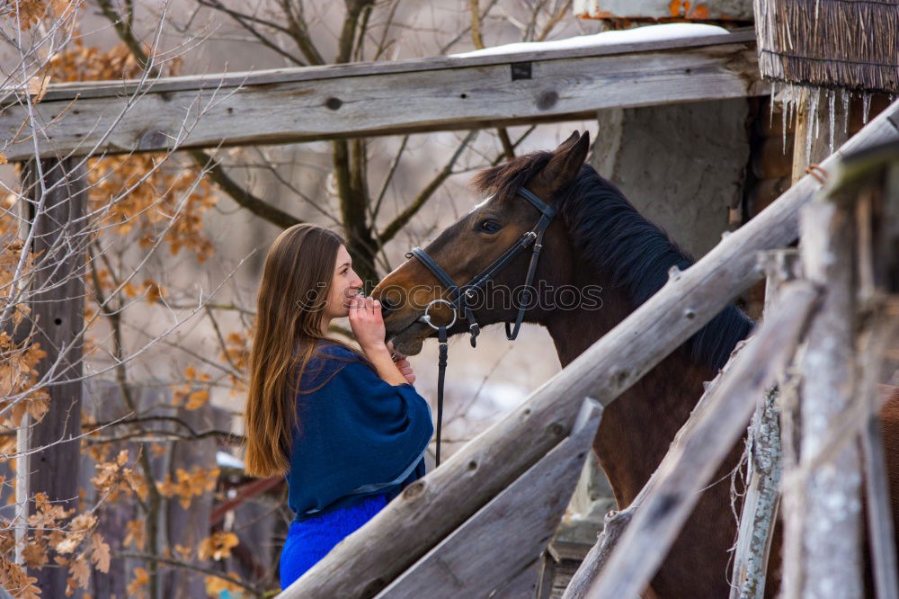 Similar – Image, Stock Photo A grin on the horse’s face