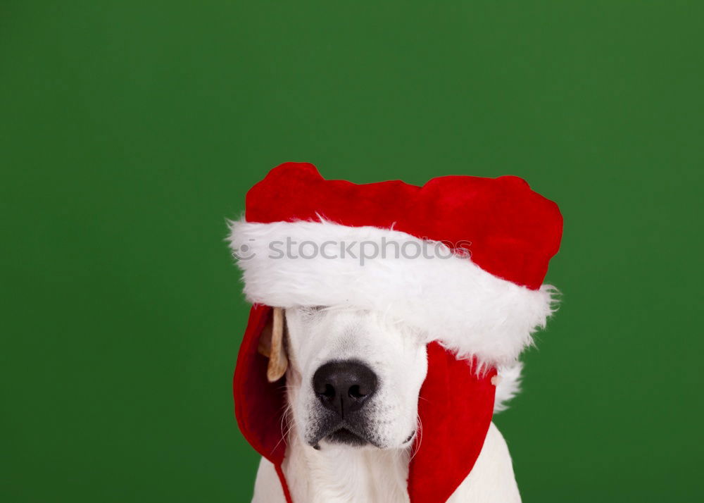 Similar – Image, Stock Photo There used to be more tinsel