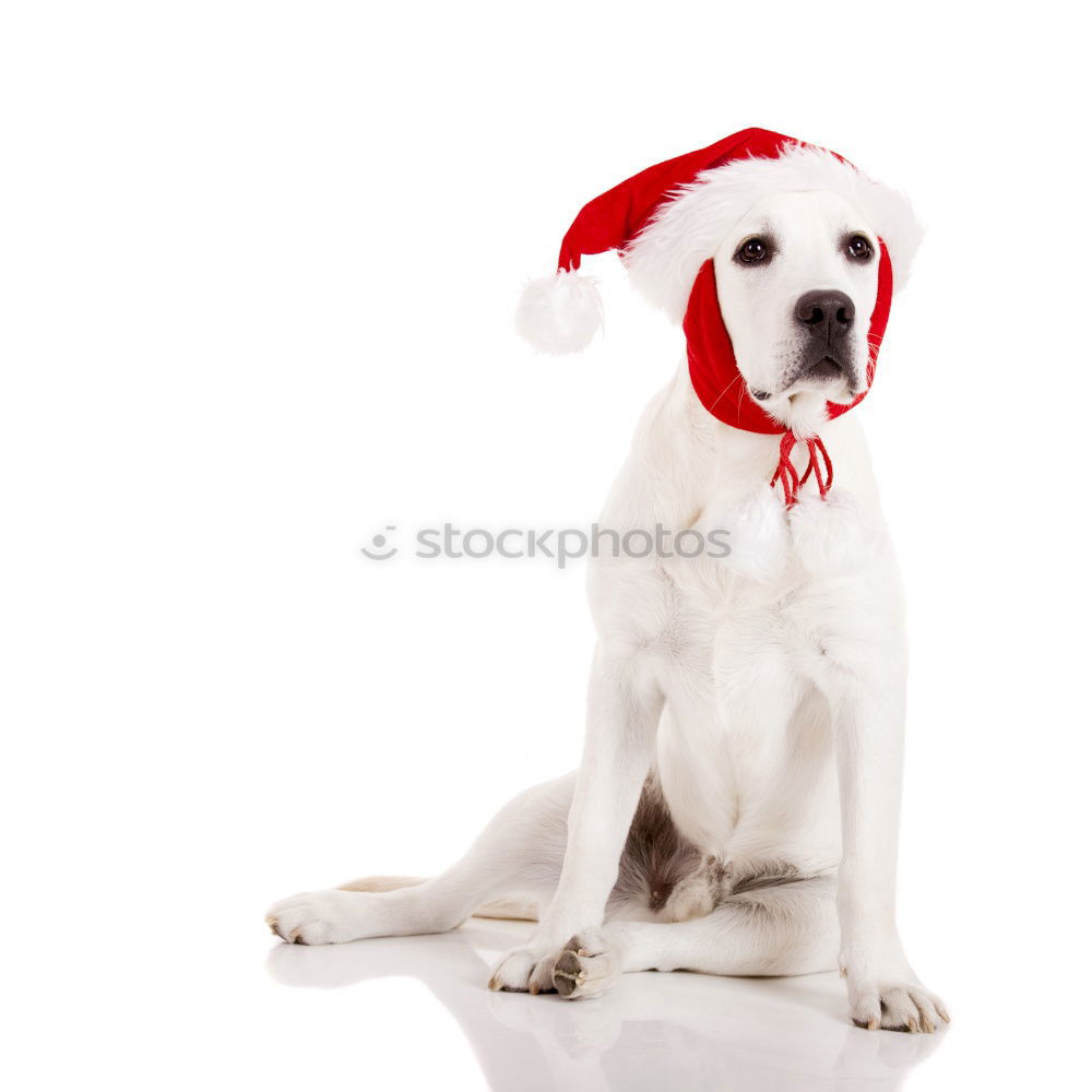 Similar – Image, Stock Photo There used to be more tinsel