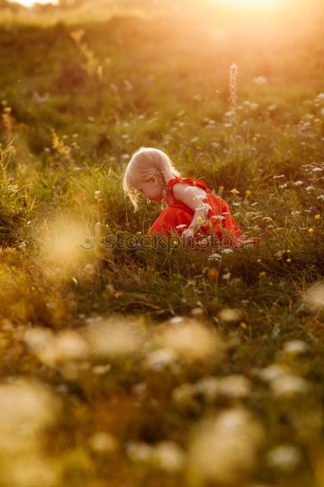 Similar – Foto Bild Lichtfänger feminin