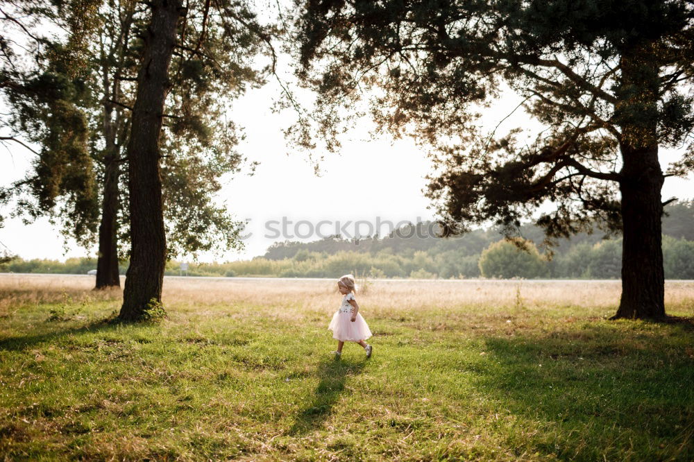 Similar – Image, Stock Photo Red and light and summer