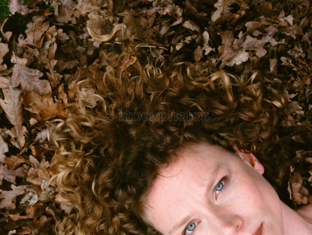 Similar – Young natural woman with freckles and wild curly hair looking at the camera