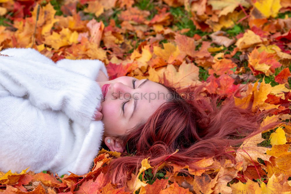 Similar – Image, Stock Photo Young woman lying down in the floor full of autumn leaves