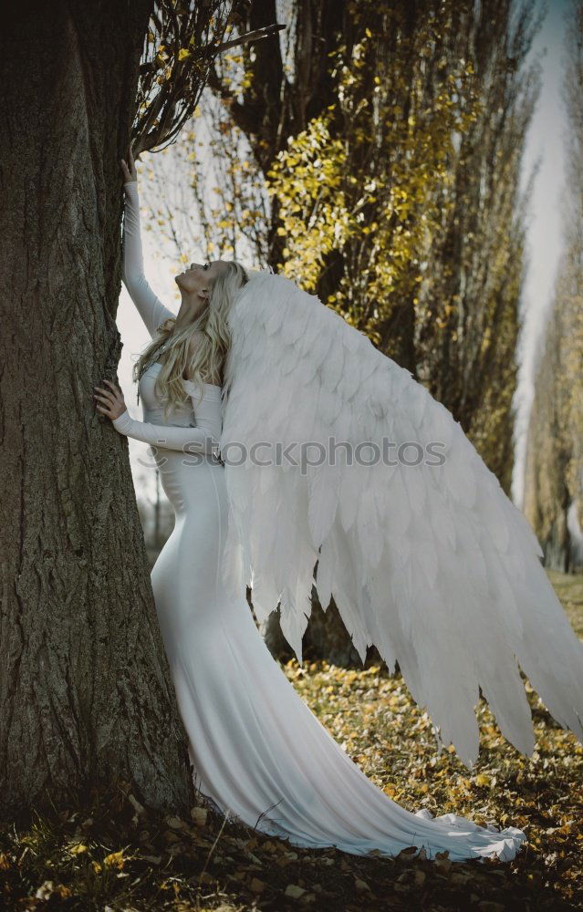 Image, Stock Photo angels Human being