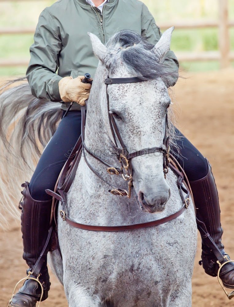 A man and his pony