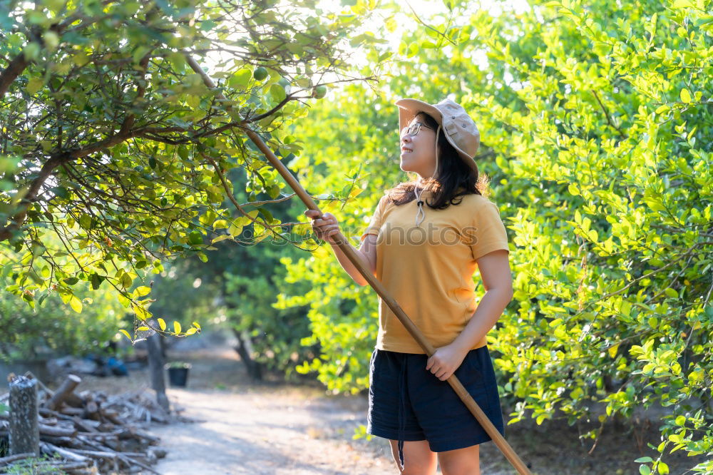 Similar – Girl picking berries in backyard