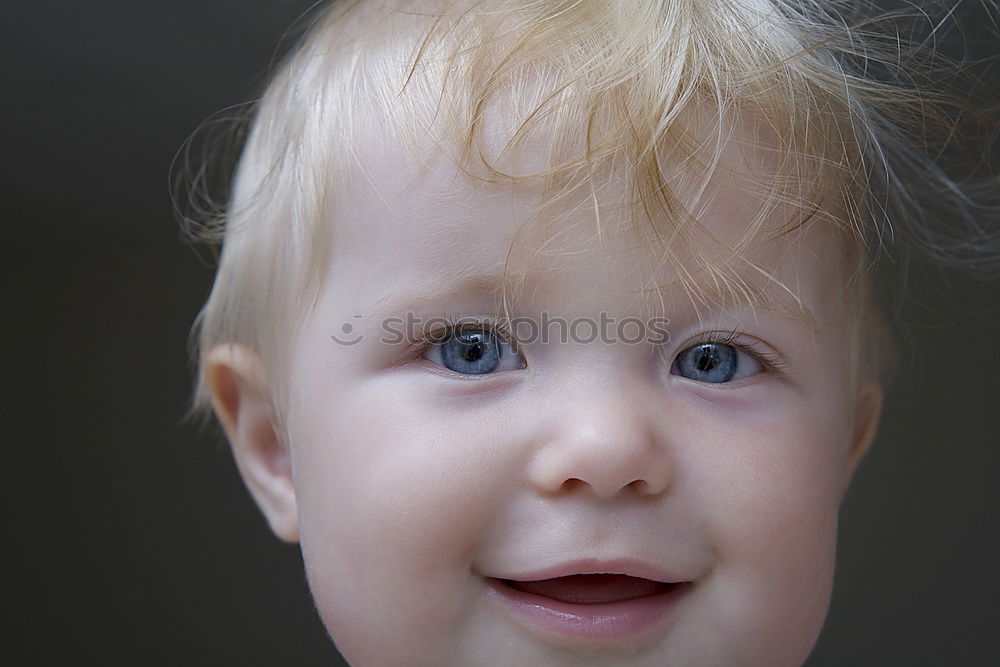 Image, Stock Photo In the grass Grass Meadow