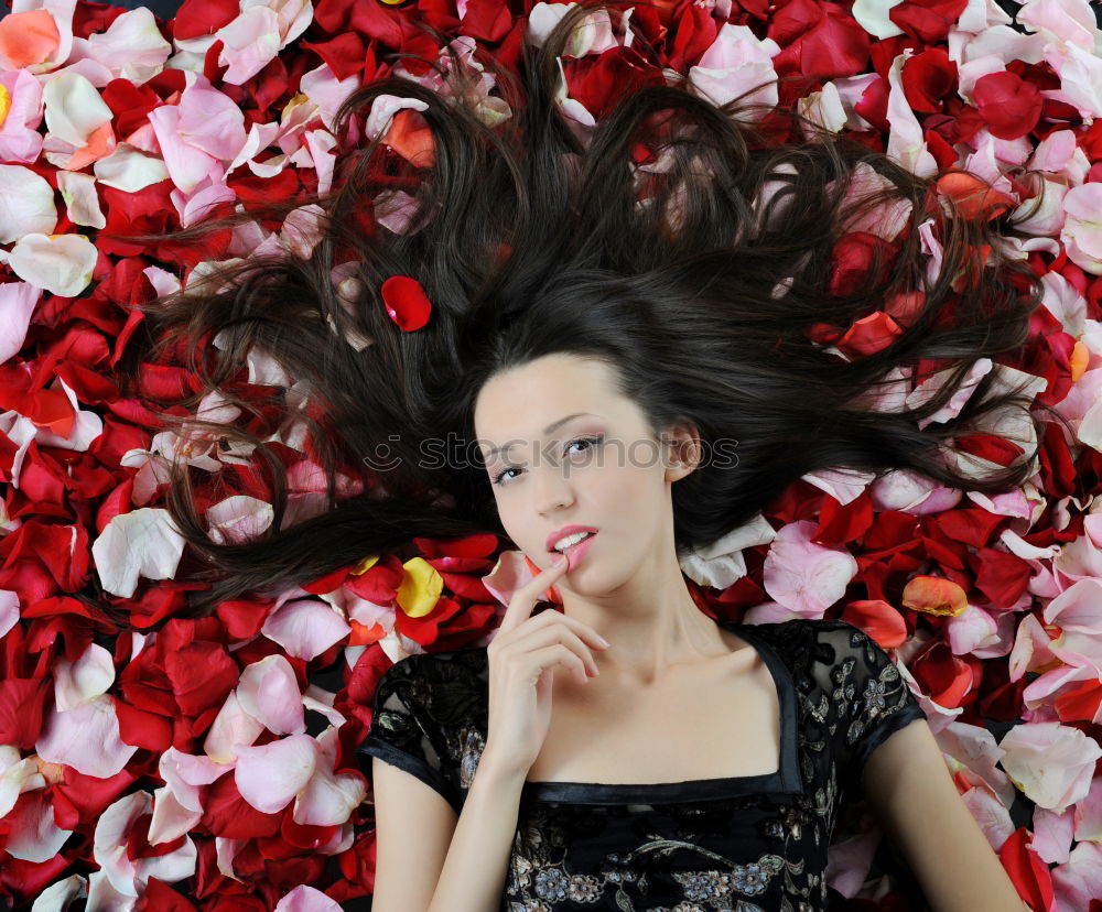 Similar – Image, Stock Photo under the veil Young woman