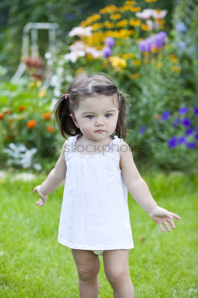 Similar – Little girl walking in nature field wearing beautiful dress