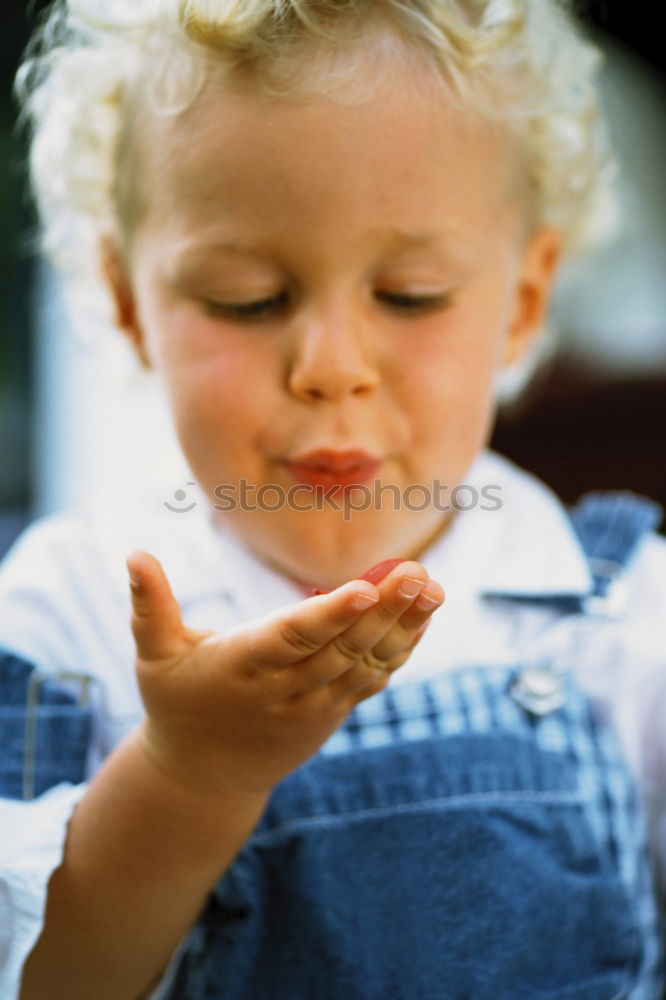 Similar – Child nibbles raspberries from his fingers