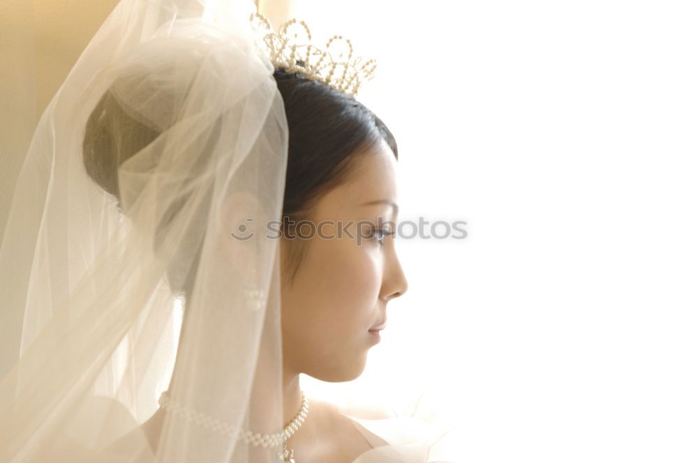 Similar – Foto Bild bride elegant Stil