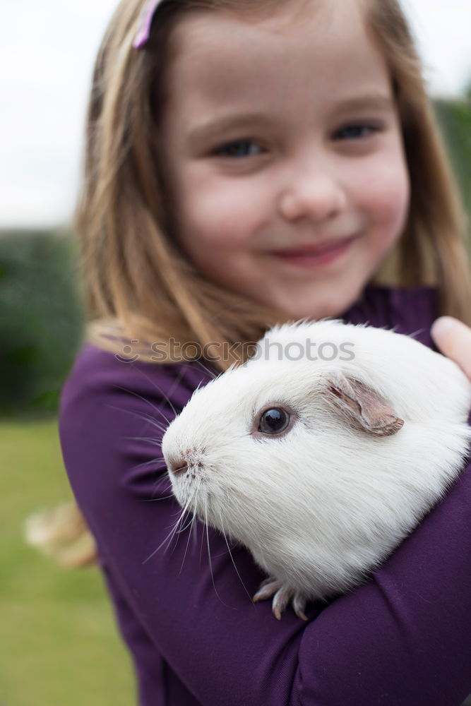 Similar – Girl cuddles with rabbit