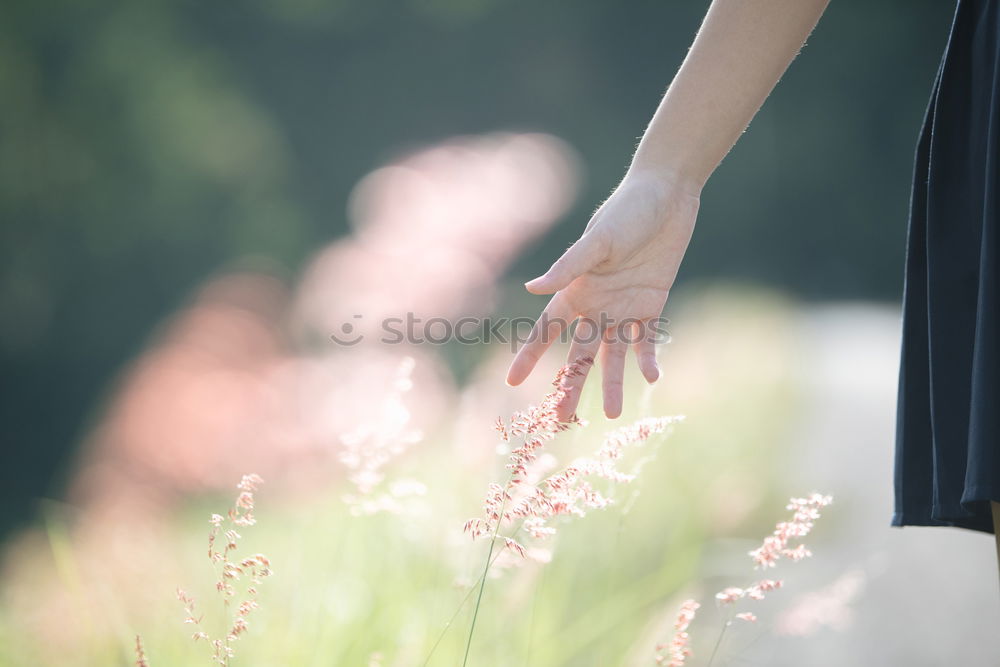 Similar – Image, Stock Photo couronne Feminine Woman