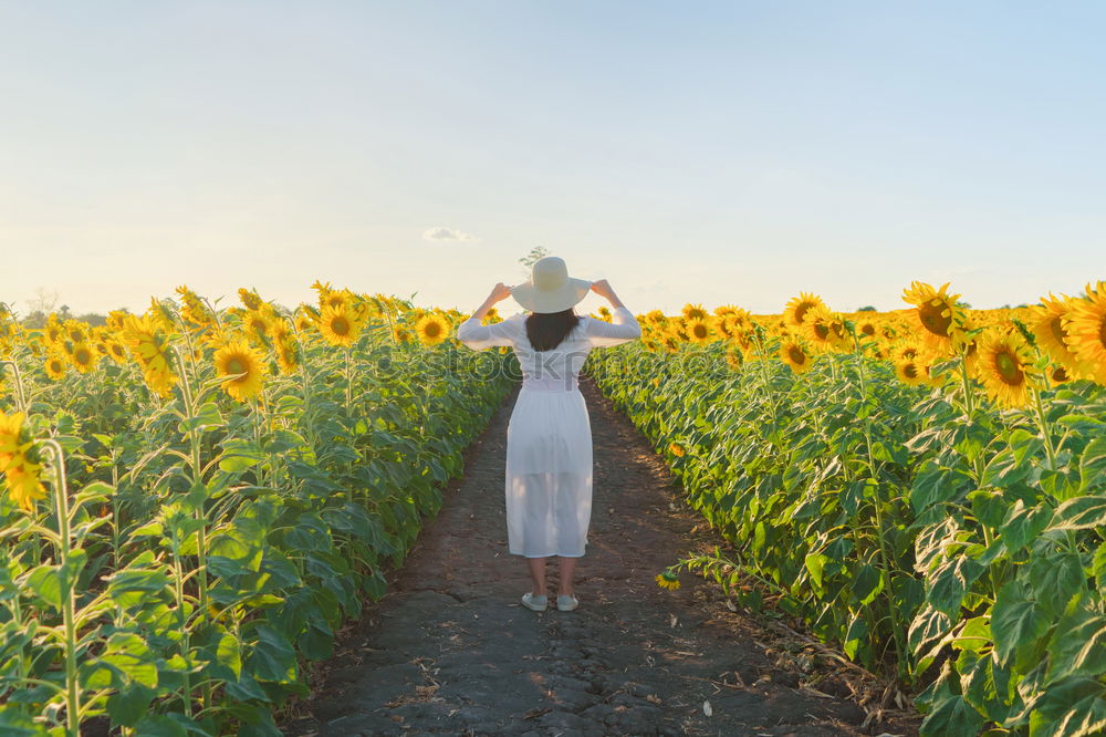 Similar – Image, Stock Photo Young woman walking in a path in the middle of a vineyard