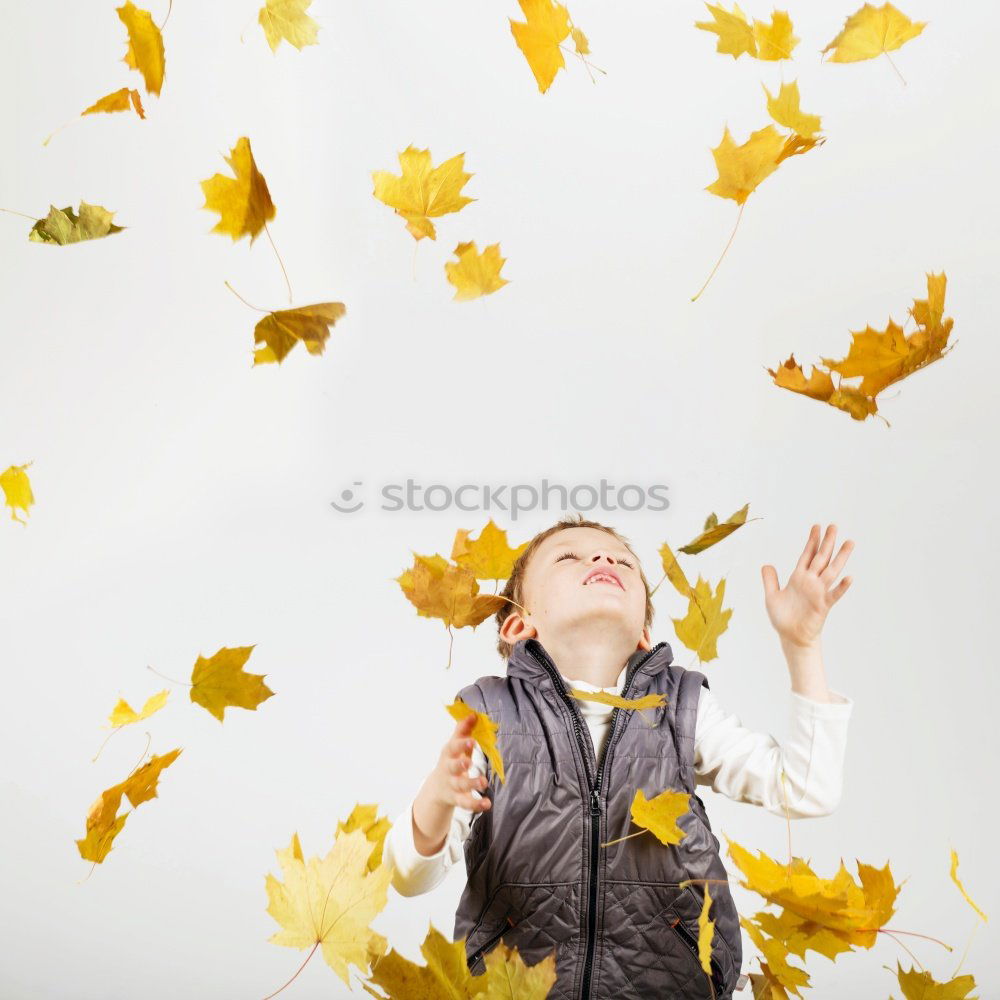 Similar – Children hands hold a yellow maple leaf