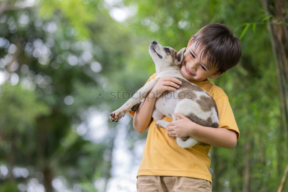 Similar – Little boy sitting with farm chickens