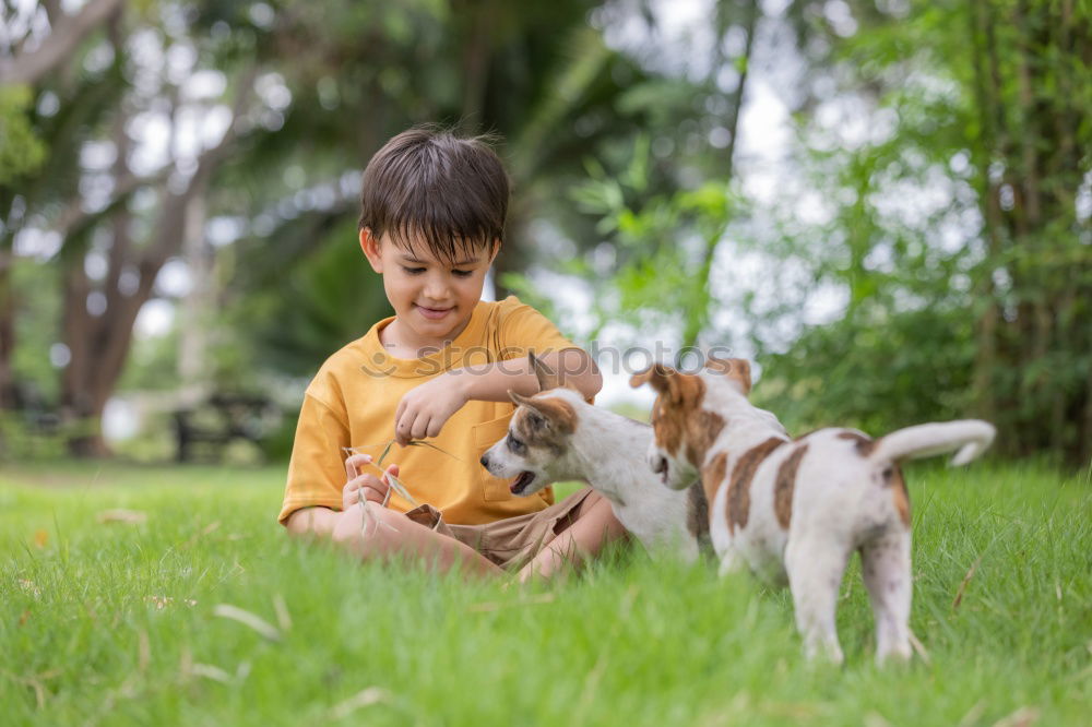 Similar – Image, Stock Photo Little girl looking a goat on the grass