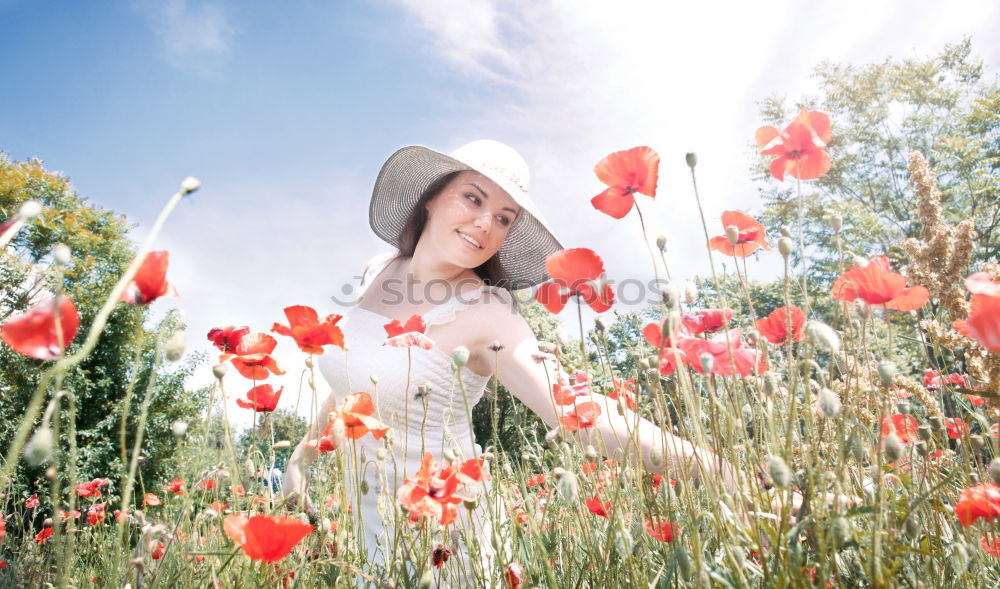 Similar – Image, Stock Photo For you the poppy should bloom…