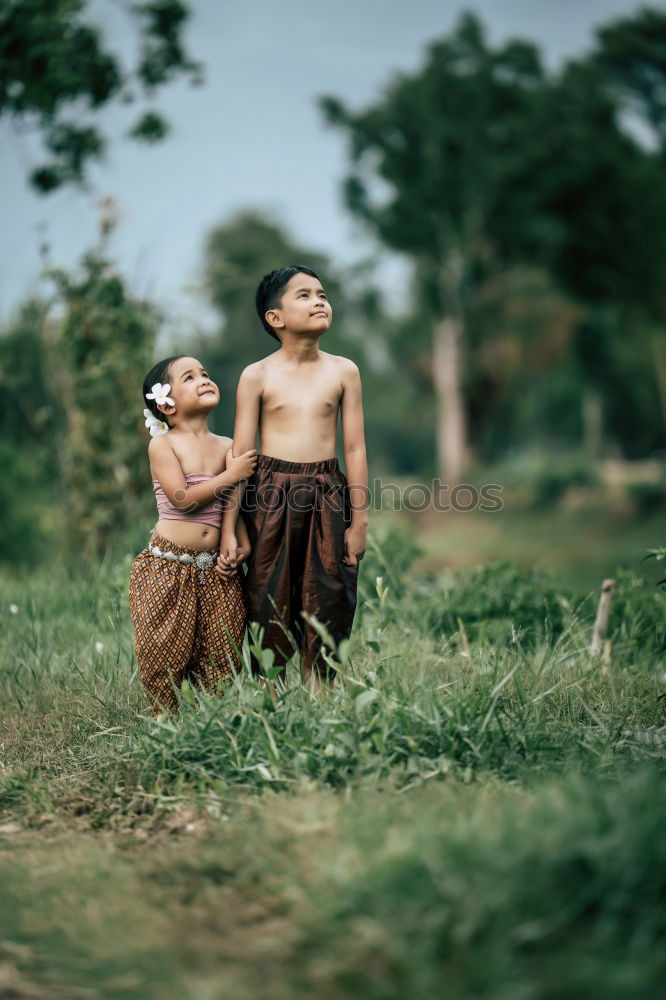 Similar – Indonesian Flowers Bali