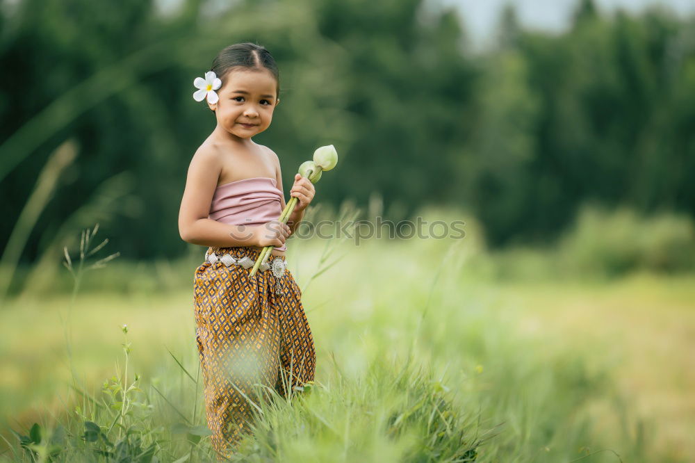 Similar – Image, Stock Photo basket Basket Maize field