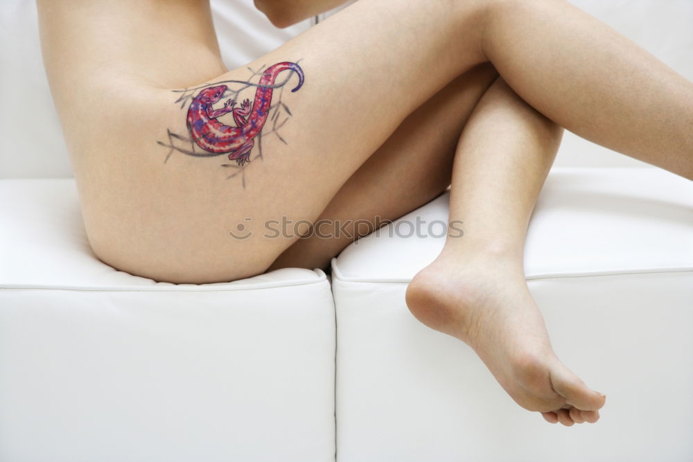 Similar – Image, Stock Photo tattoo fox Lifestyle